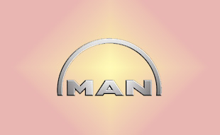 ✓ MAN 81.61950.0225 Запчасти МАН (MAN) 